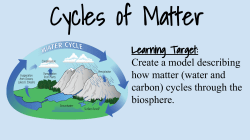 Create a model describing how matter (water and carbon) cycles