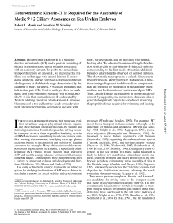 Heterotrimeric Kinesin-II Is Required for the Assembly of Motile 9 2