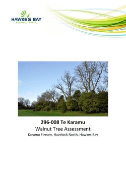 296-008 Te Karamu Walnut Tree Assessment