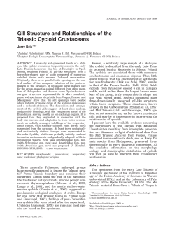 Gill structure and relationships of the Triassic cycloid crustaceans