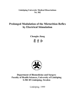 Prolonged Modulation of the Micturition Reflex by Electrical