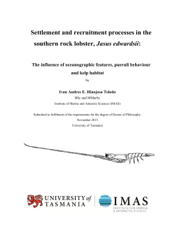 Settlement and recruitment processes in the southern