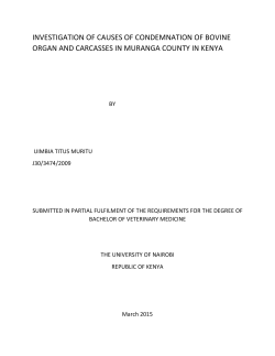 INVESTIGATION OF CAUSES OF CONDEMNATION OF BOVINE