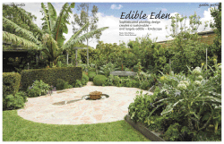 garden profile garden profile Edible Eden