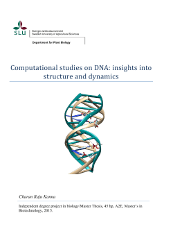 Computational studies on DNA: insights into structure and