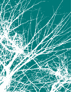 Neurological disorders: public health challenges