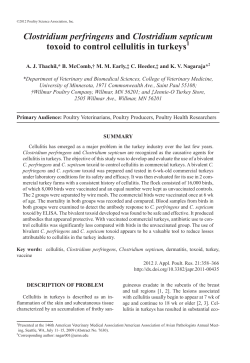 Clostridium perfringens and Clostridium septicum toxoid to control