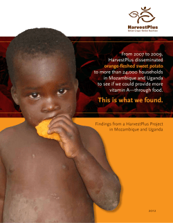 Disseminating Orange-fleshed Sweet Potato: Findings