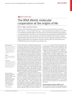 The RNA World - McMaster Physics and Astronomy