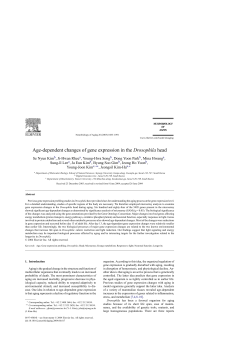 Age-dependent changes of gene expression in the Drosophila head