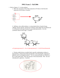 395G Exam 2 - Fall 2006