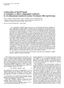 Conformation of MgATP bound to 5-phospho-a-~