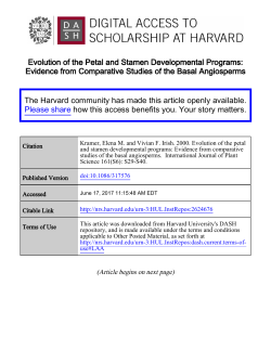 Evolution of the Petal and Stamen Developmental Programs