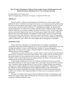 Heat Transfer Performance of Micro