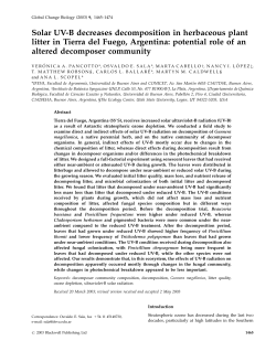 Solar UV-B decreases decomposition in herbaceous plant litter in