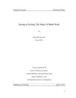 Seeing as Feeling: The Magic of Shark Week