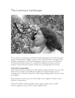 The Luminous Landscape