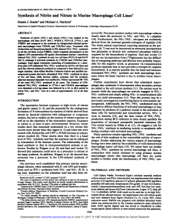 Synthesis of Nitrite and Nitrate in Murine