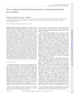 Prism Adaptation During Walking Generalizes to Reaching and