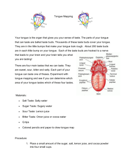 Tongue Mapping Your tongue is the organ that gives you your sense