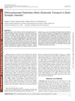 Dithiocarbamate Pesticides Affect Glutamate Transport in Brain