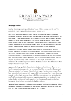 Dog aggression - Dr Katrina Ward