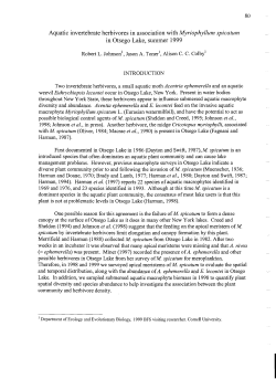Aquatic invertebrate herbivores in association with