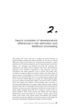 Neural correlates of developmental differences in risk estimation