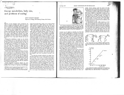 Energy metabolism, body size, and problems of scaling1