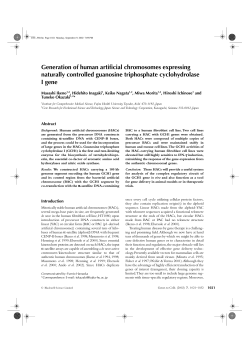 Generation of human artificial chromosomes expressing