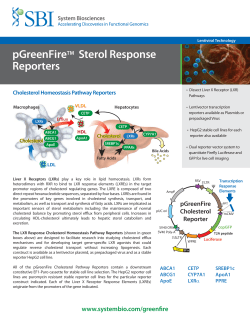 pGreenFireTM Sterol Response Reporters