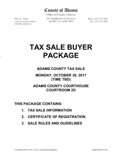 tax sale buyer package