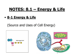 NOTES: 8.1 - ATP / Cell Energy (slideshow)