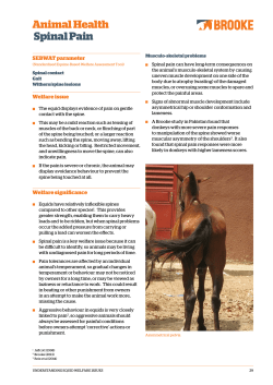 Animal Health Spinal Pain