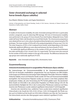 Sister chromatid exchange in selected horse breeds