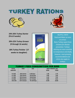 24%-26% Turkey Starter (First 8 weeks) 20%