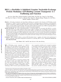 BIG1, a Brefeldin A&ndash;Inhibited Guanine Nucleotide
