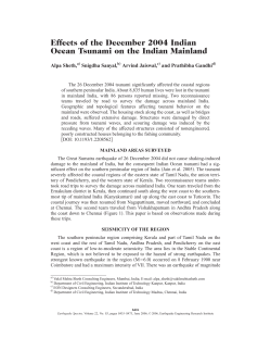 Effects of the December 2004 Indian Ocean Tsunami on