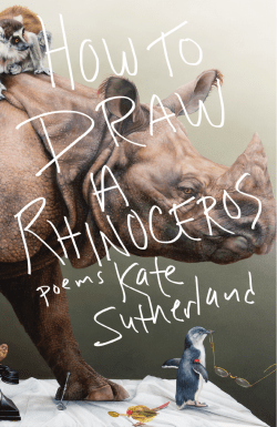How to Draw a Rhinoceros Kate Suther land