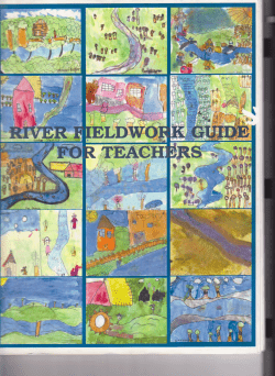 Chapter V. Chemical Interactions of a River