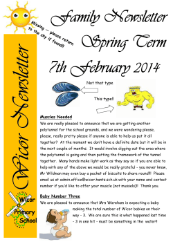 Family Newsletter 7th February 2014