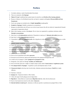 Porifera - Sakshieducation.com
