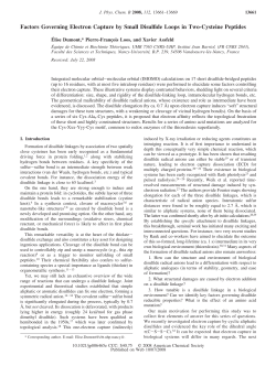 Factors Governing Electron Capture by Small Disulfide