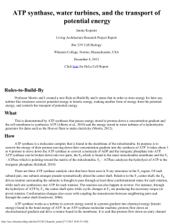ATP synthase, water turbines, and the transport of potential energy