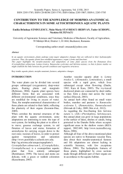 contribution to the knowledge of morpho-anatomical