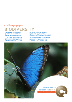 our White Paper here