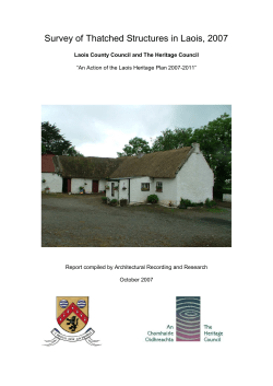 Laois Thatch Survey 2007 Vol I