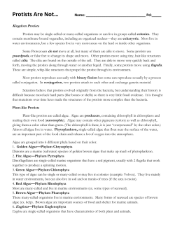 Protists Are Not&hellip;