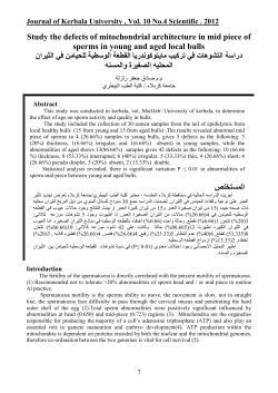 Study the defects of mitochondrial architecture in mid piece of