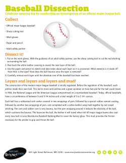Baseball Dissection